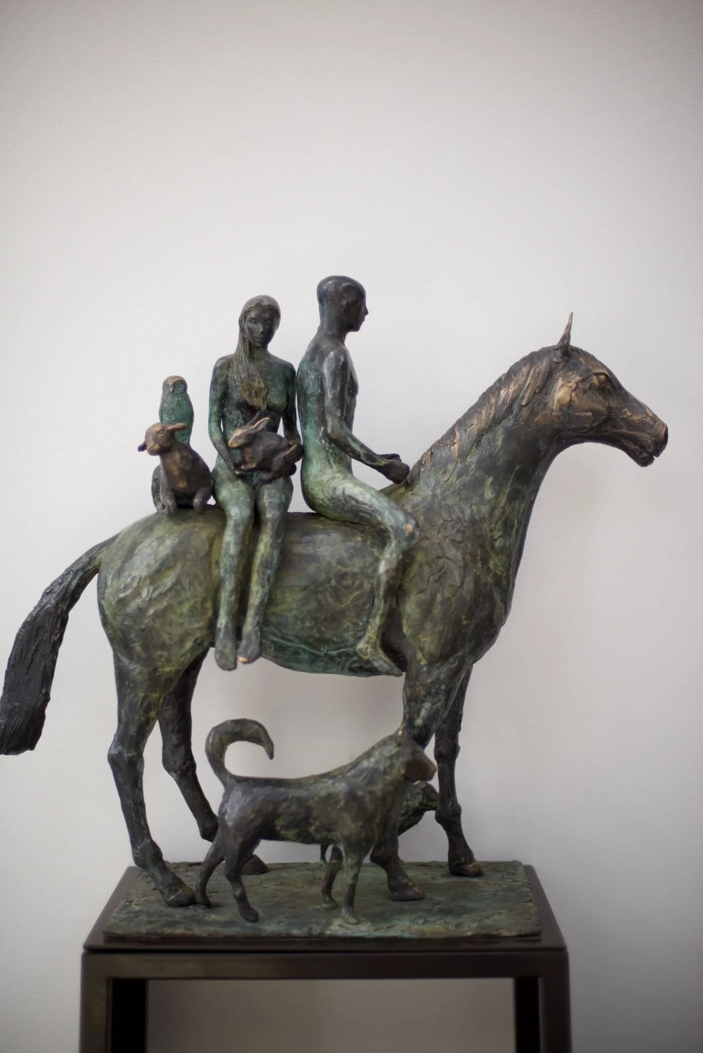 Caballo de Noe